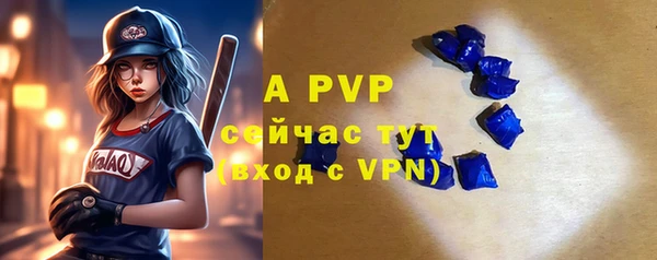 тгк Богородицк