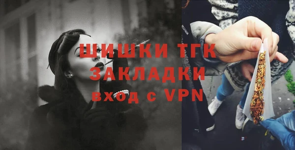 тгк Богородицк