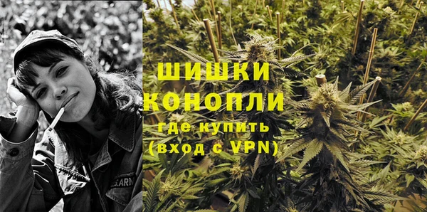 тгк Богородицк