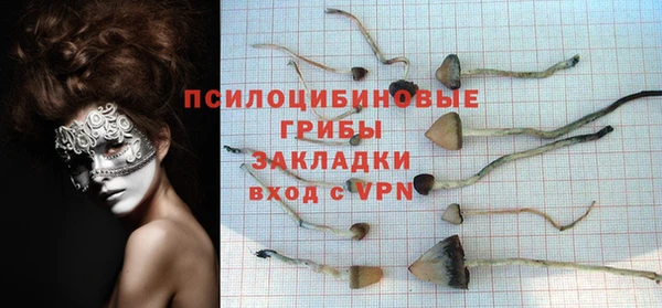тгк Богородицк